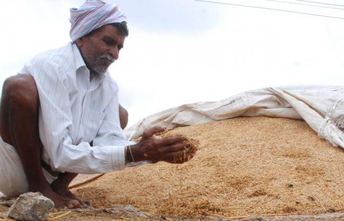 Implementation of the Food Security in Bangaru Telangana